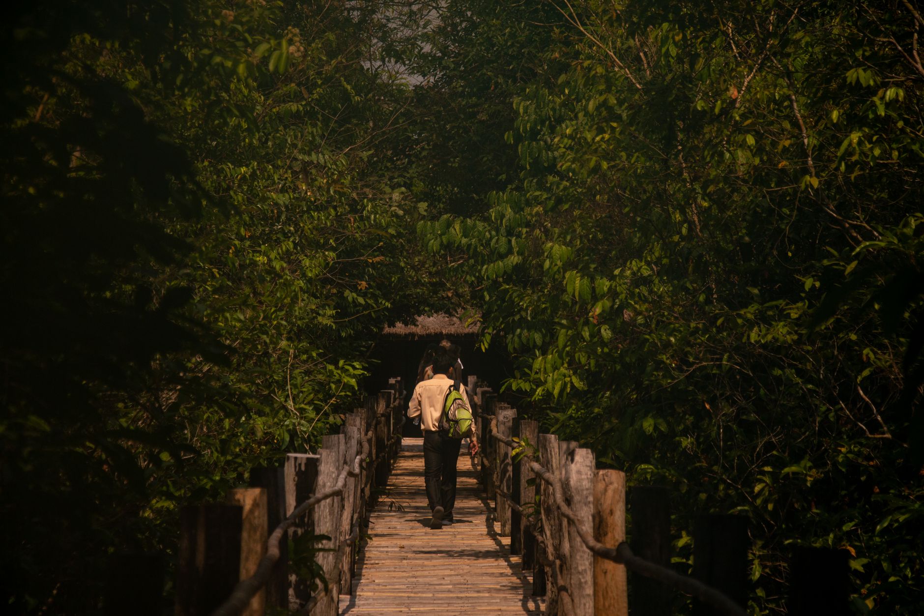 Aventuras na floresta tropical brasileira